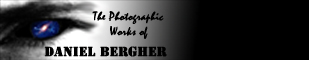 The Photographic Works of Daniel Bergher